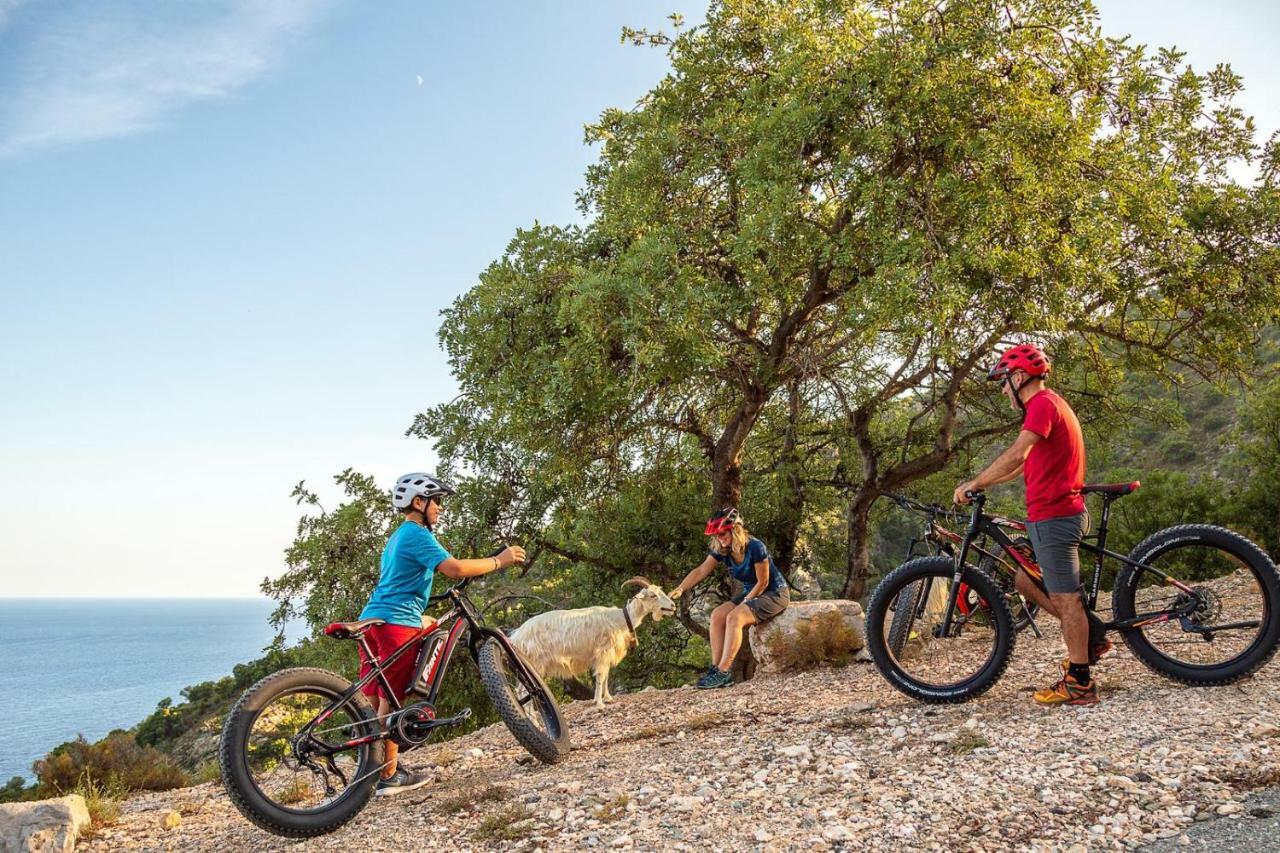 Bedbike Baunei Kültér fotó